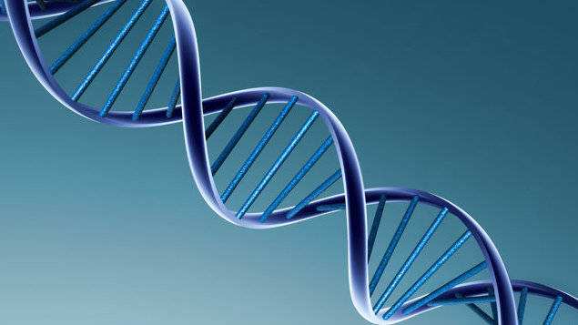 DNA亲子鉴定，不会改变的只能DNA、遗传基因