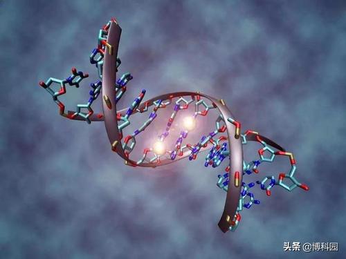 DNA亲子鉴定精夜样版如何收集和常见注意事项