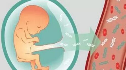 胎儿DNA亲子鉴定
