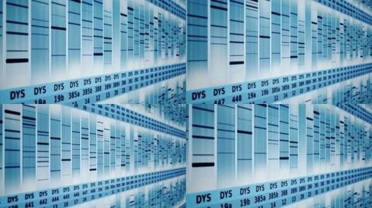 人类基因组计划后17年，X染色体被解码了