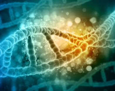 在哪里可以做DNA亲子鉴定需要什么材料手续