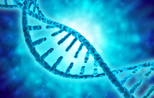 DNA亲子鉴定有哪些需要注意事项
