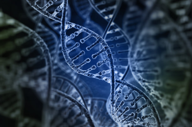 DNA亲子鉴定实验操作步骤