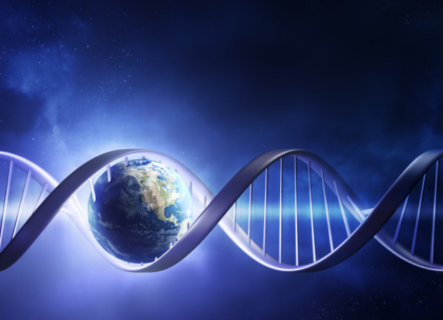 在哪里可以做DNA亲子鉴定需要什么材料手续