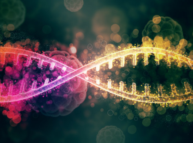 北京在哪里可以做DNA亲子鉴定需要什么材料手续