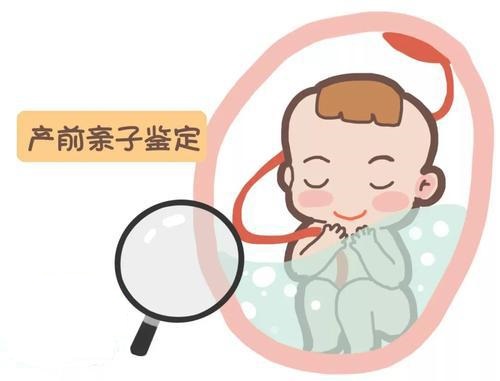 孕期怎么做无创产前亲子鉴定？