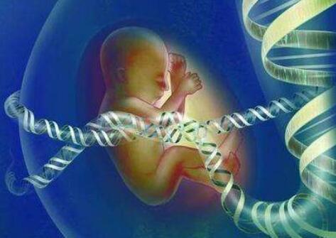 胚胎亲子鉴定，打下来的胚胎可以做鉴定么？