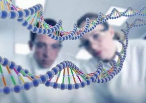 四川成都做DNA亲子鉴定都需要哪些材料？