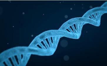 DNA亲子鉴定需要准备什么